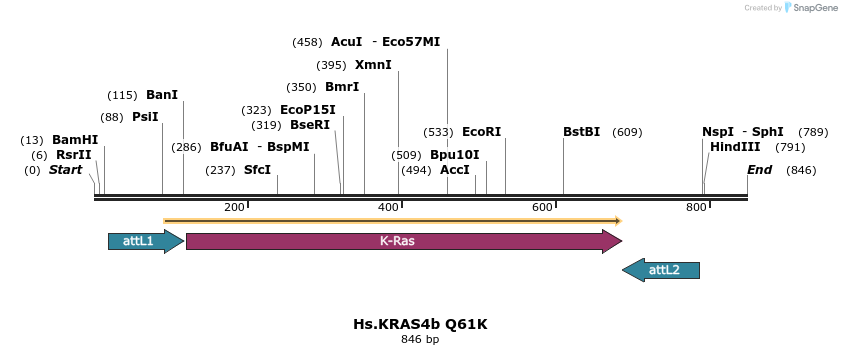 159209_map
