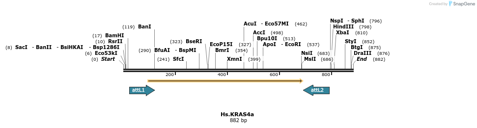 159213_map