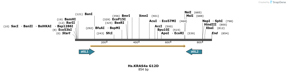 159215_map