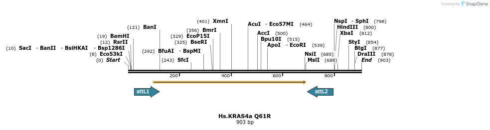 159222_map