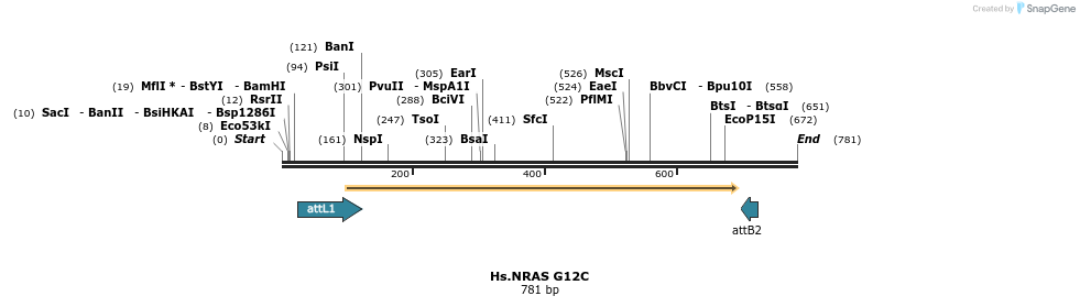 159228_map