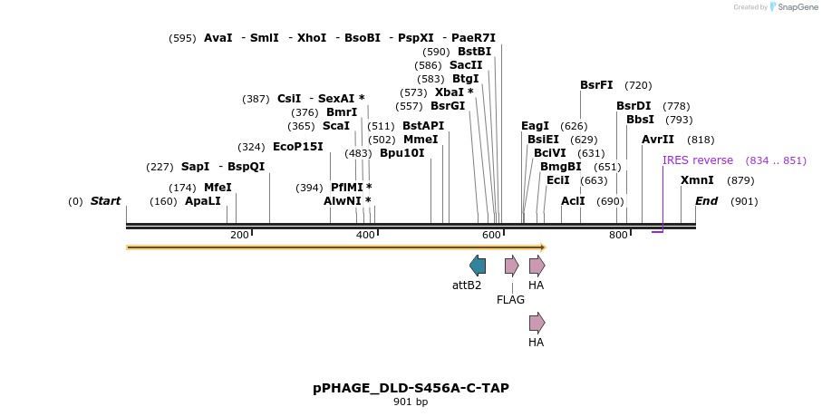 159232_map
