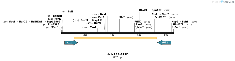 159240_map