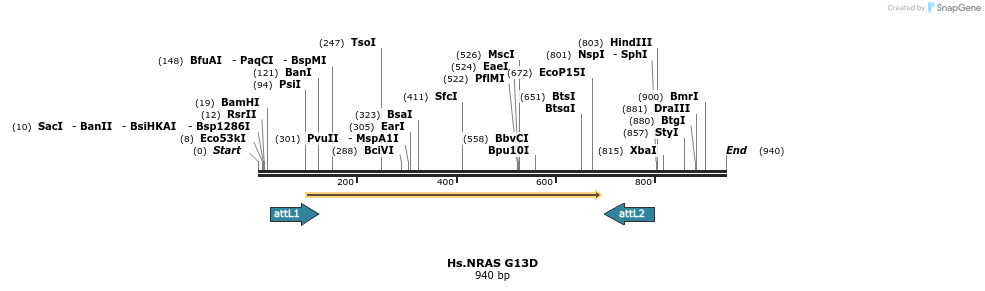 159243_map