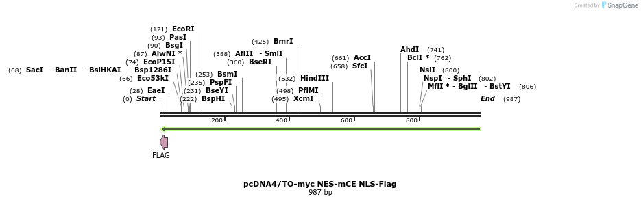 159246_map