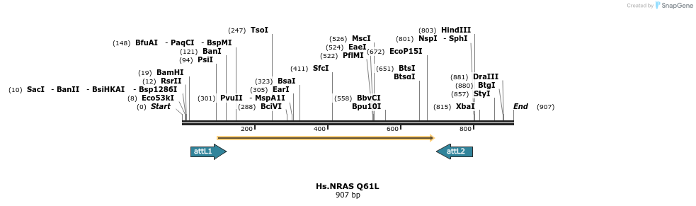 159248_map