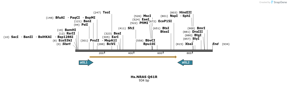 159251_map