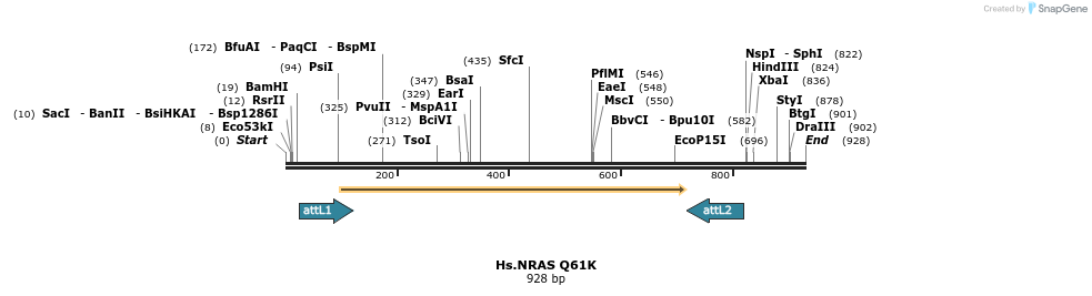 159253_map