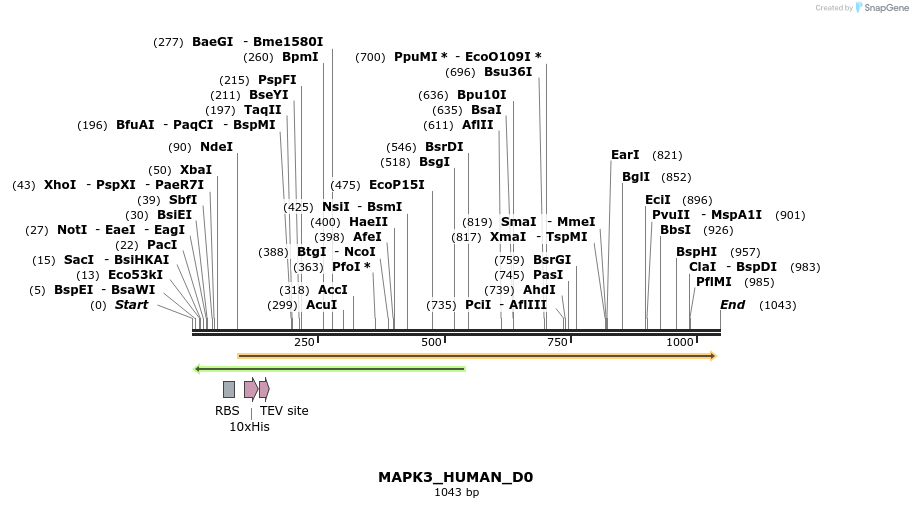 159275_map