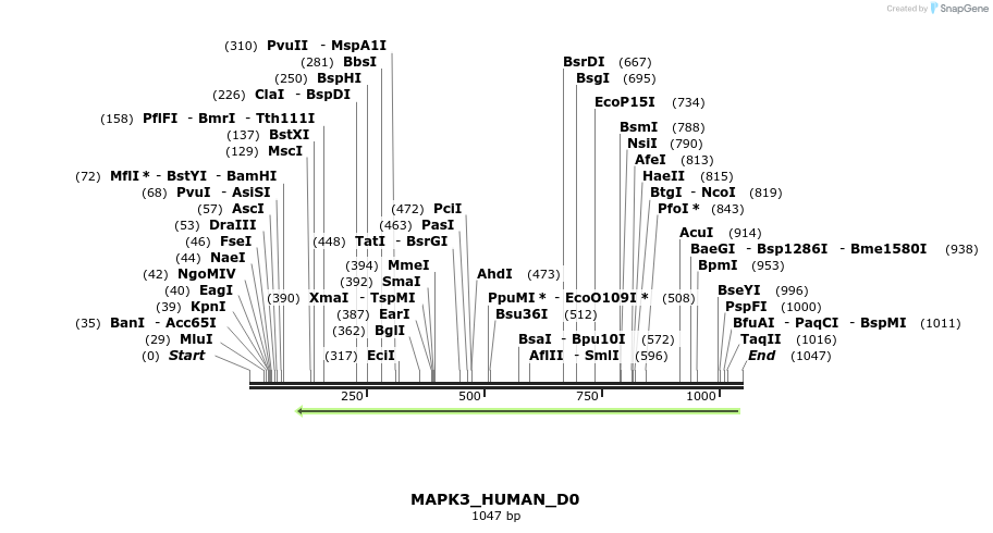 159276_map