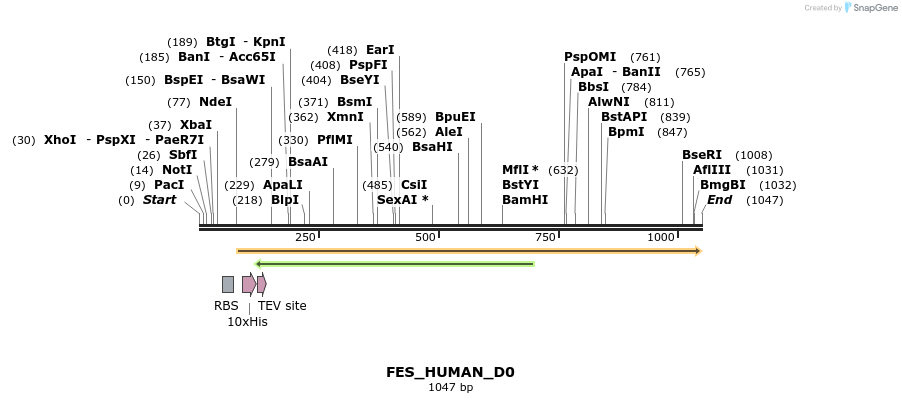 159282_map