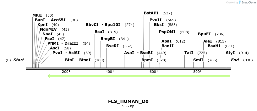 159283_map
