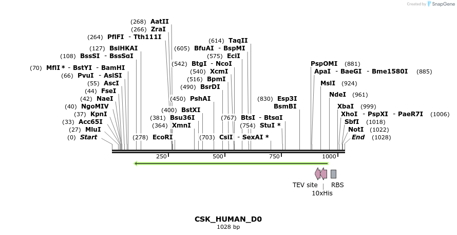 159291_map