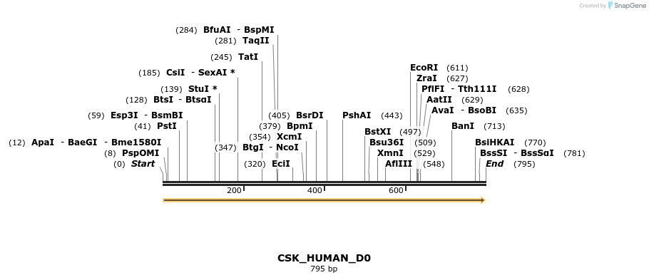 159292_map