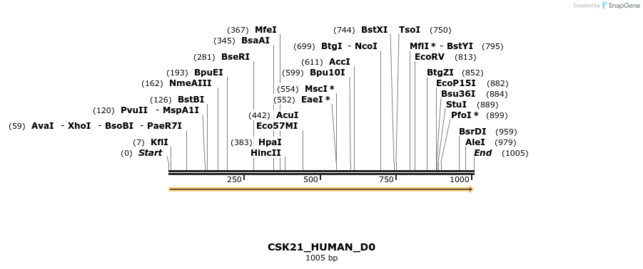 159302_map