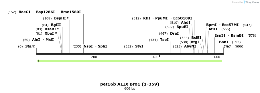 159315_map