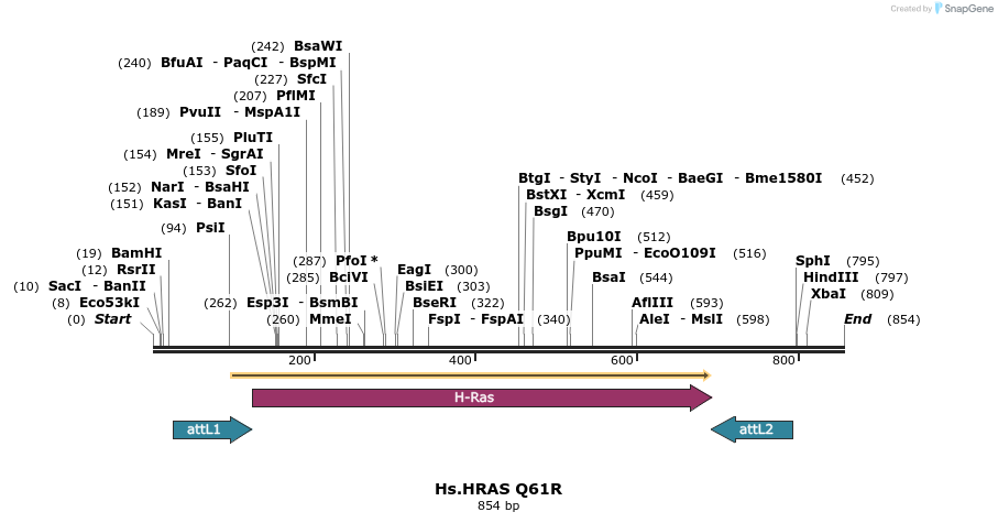 159318_map