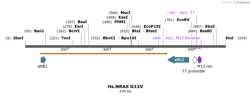 159321_map