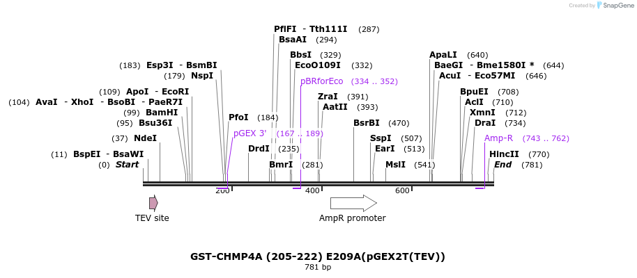 159322_map