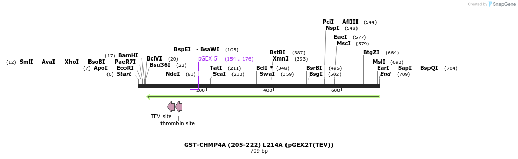 159326_map