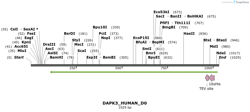 159349_map