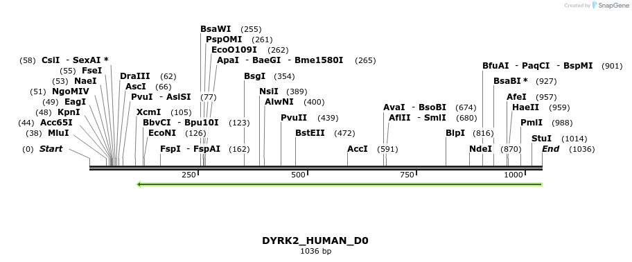 159351_map