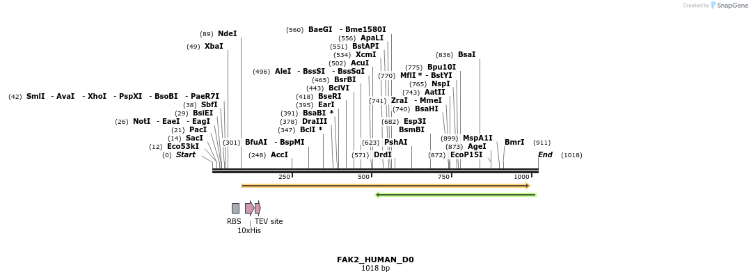 159359_map