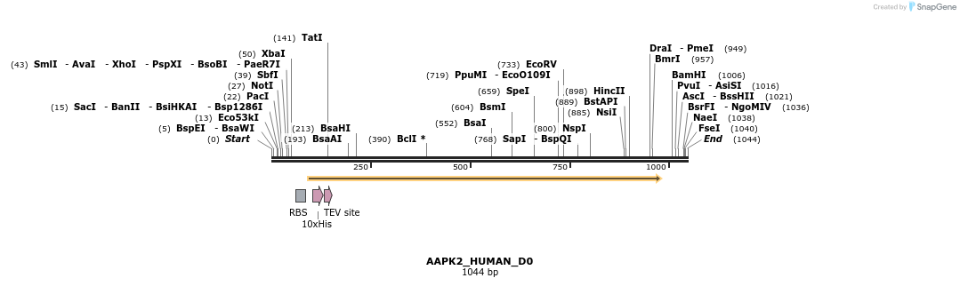 159362_map