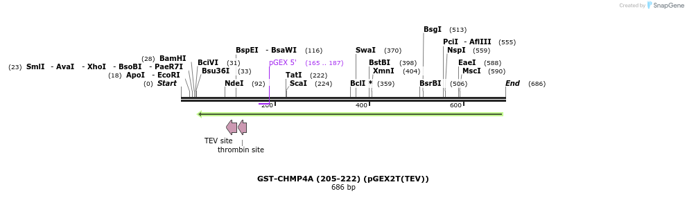 159367_map