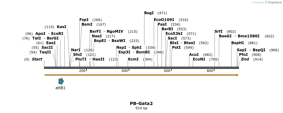 159372_map