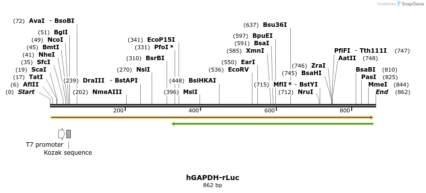 159401_map