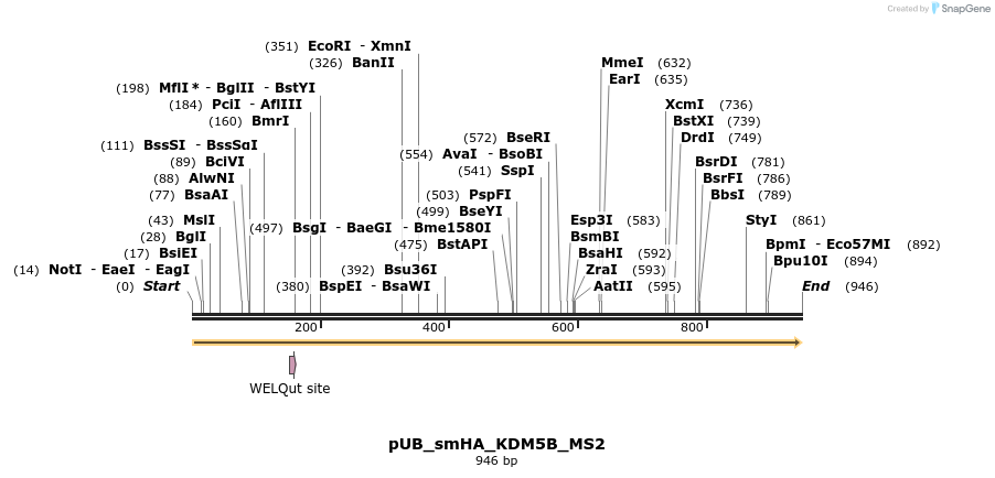 159405_map