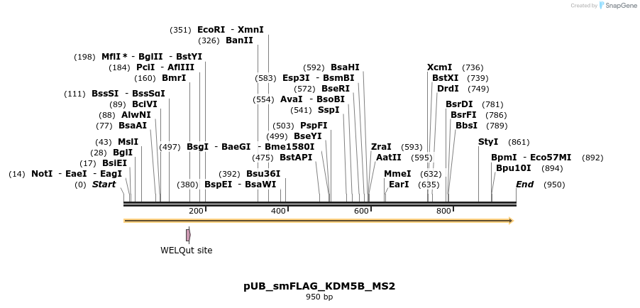 159406_map