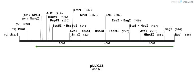 159411_map