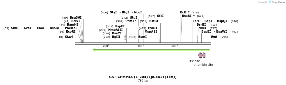 159414_map