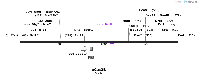 159524_map