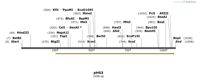 159531_map