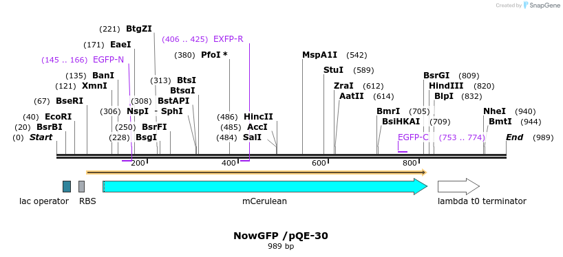 159539_map