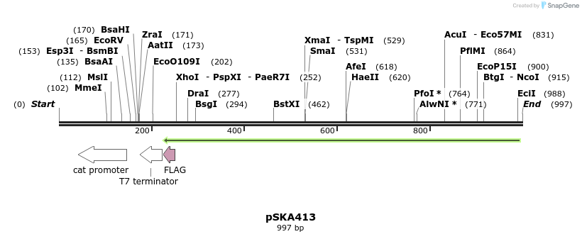 159545_map