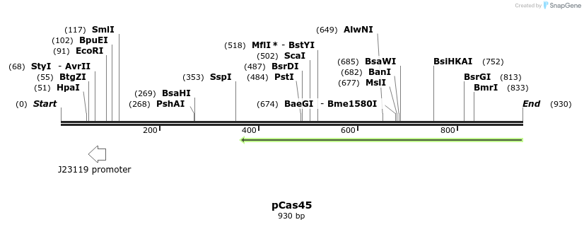 159547_map