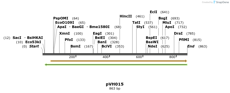 159551_map