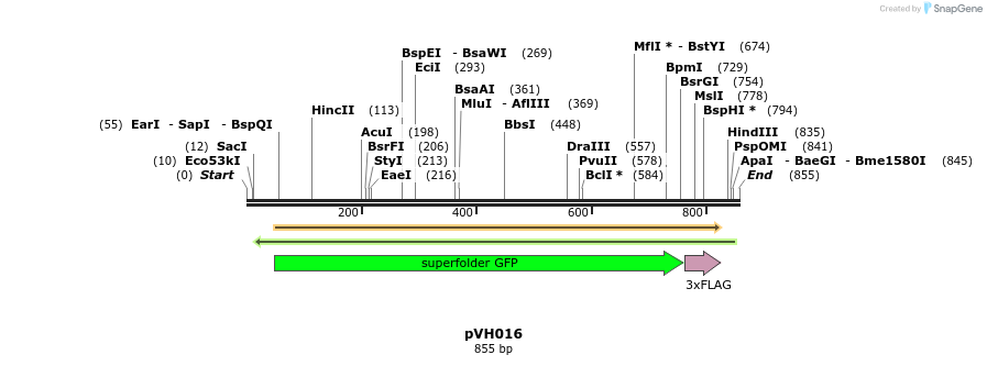 159552_map