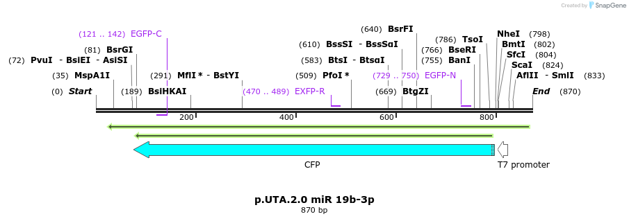 159557_map