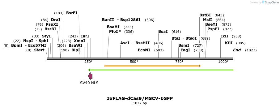 159570_map