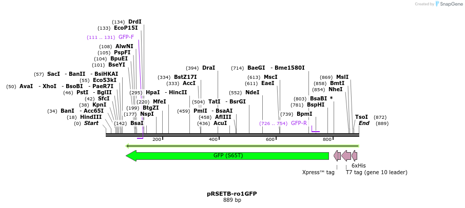 159576_map