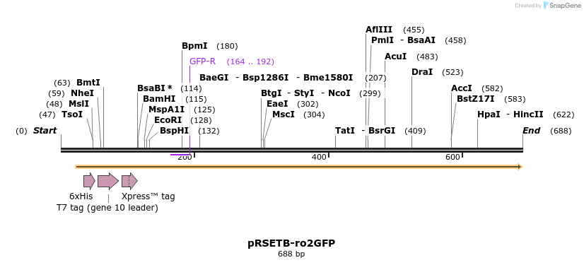 159577_map