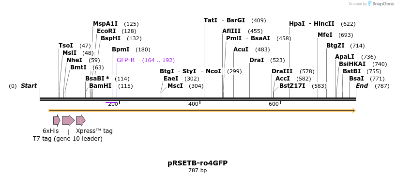 159582_map