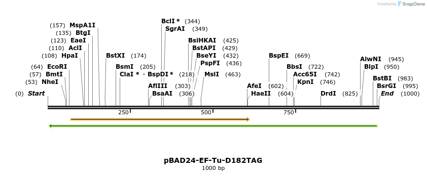 159587_map