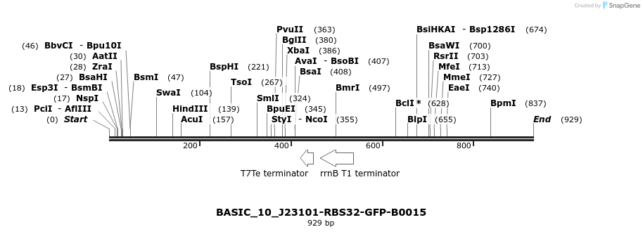 159594_map