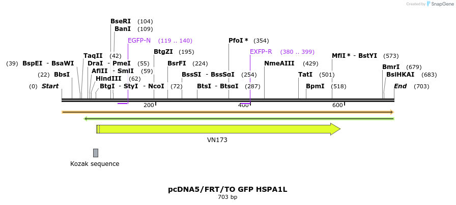 159598_map